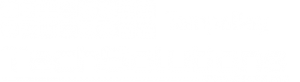 tampa-bay-tech-solutions-white-logo